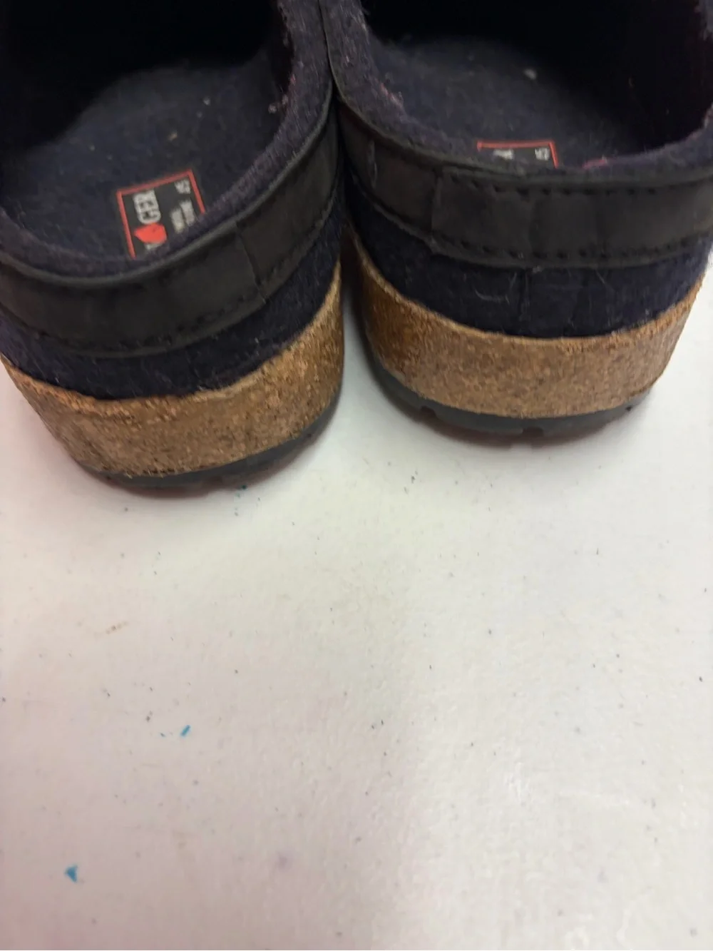 Haflinger durable black